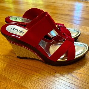 LIKE NEW Charles David red sandals
